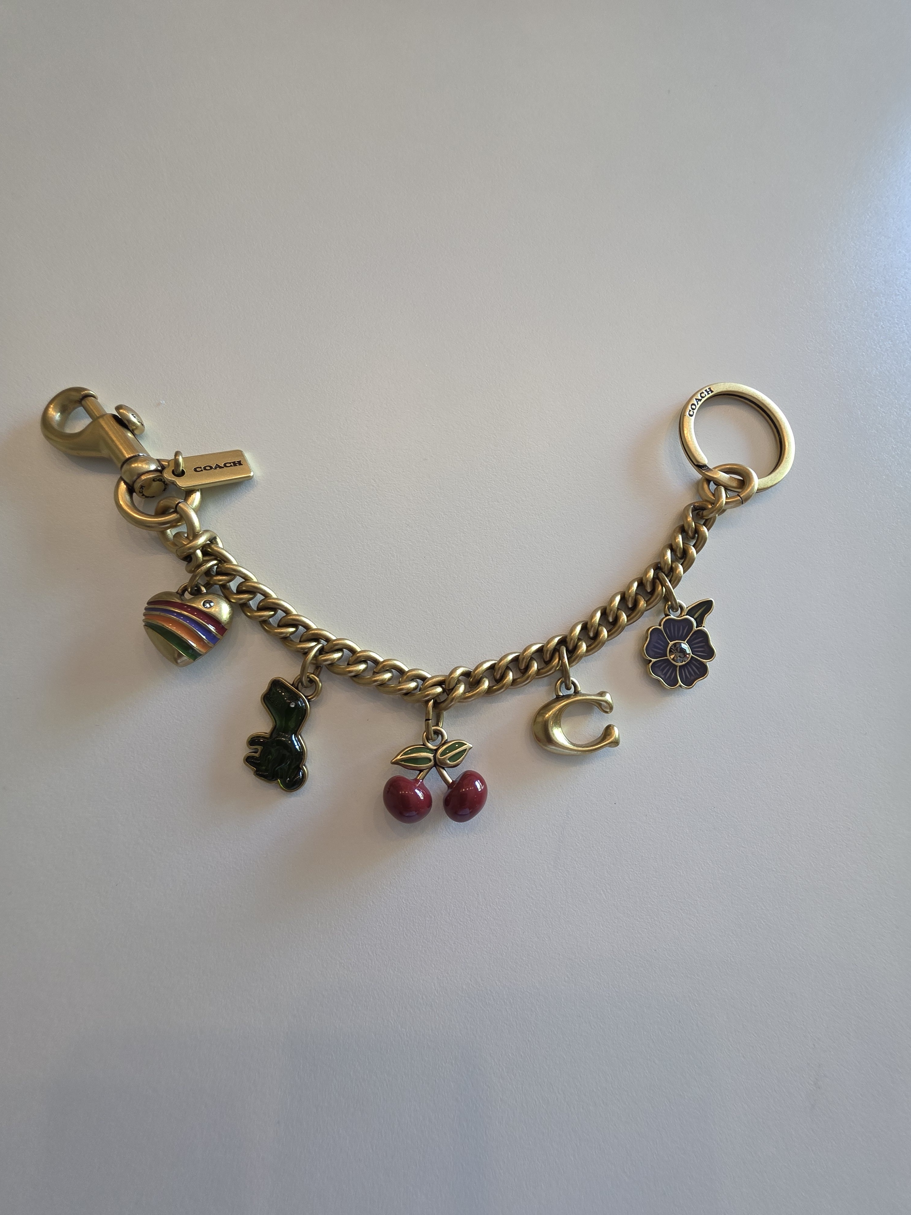Coach Gold Charm Bag Chain
